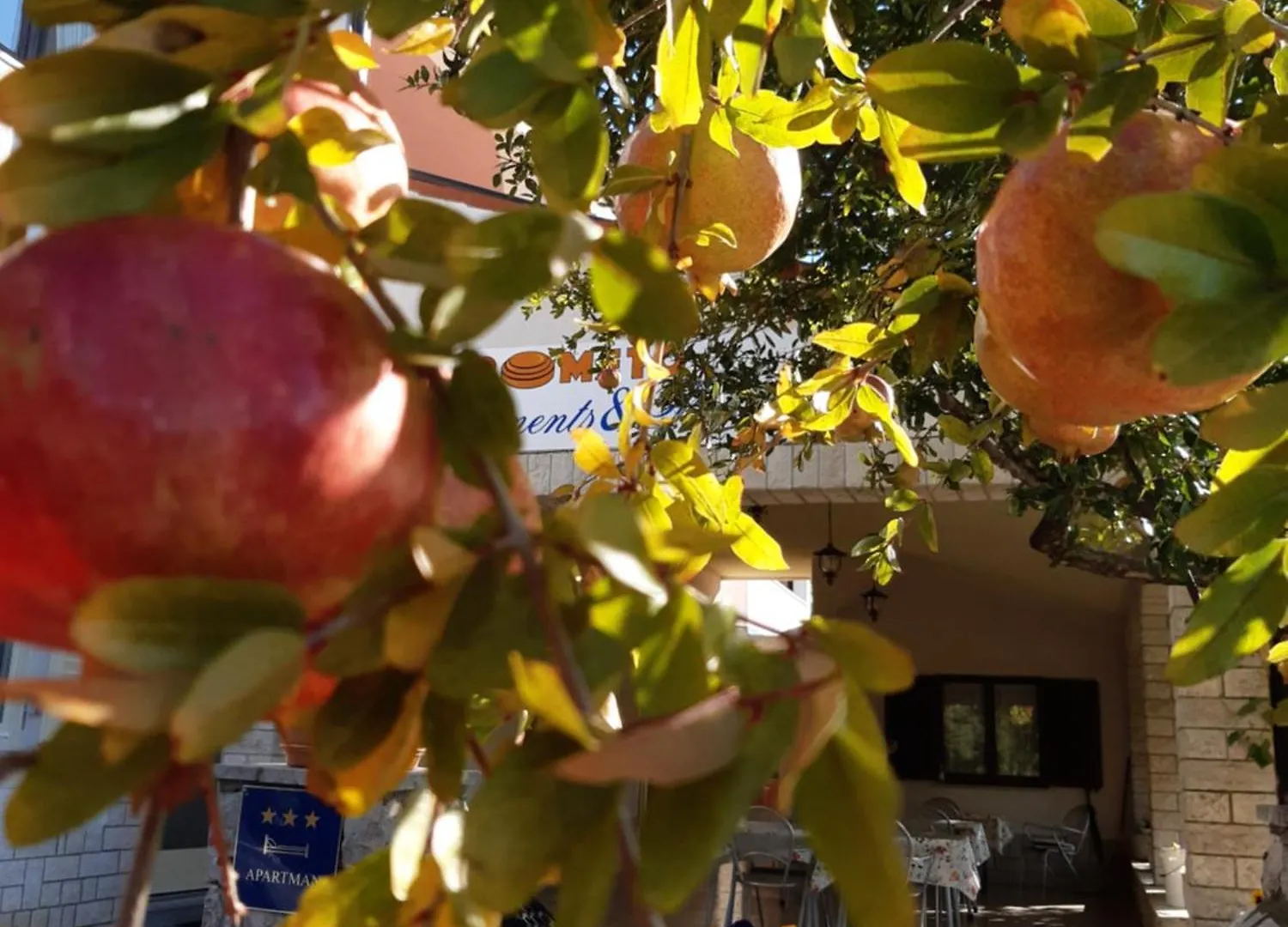 Apartman Pometo I Poreč